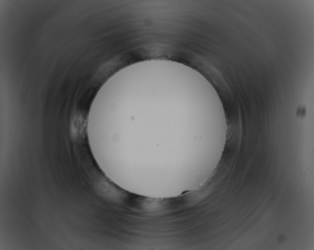 X0000101200142200807181544