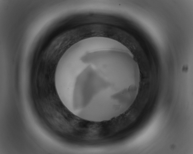 X0000101200143200807181544