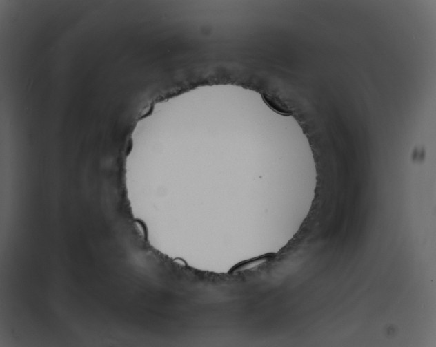 X0000101200144200807181544