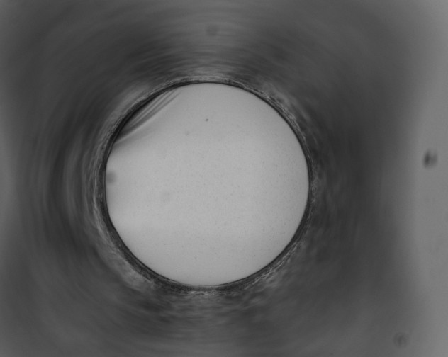 X0000101200145200807181543