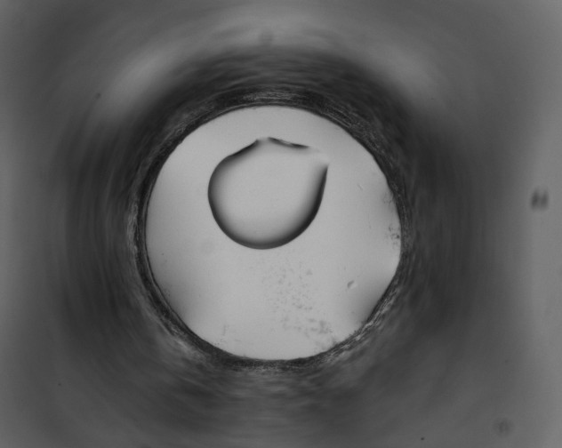 X0000101200146200807181543