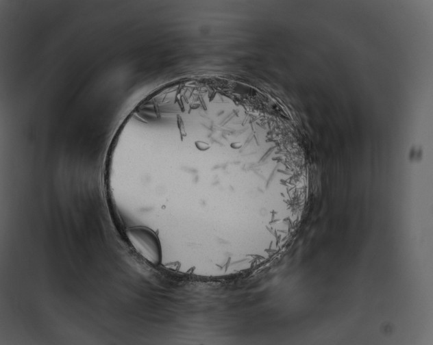 X0000101200147200807181543