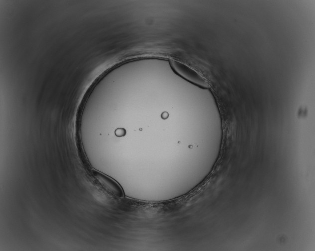 X0000101200148200807181543