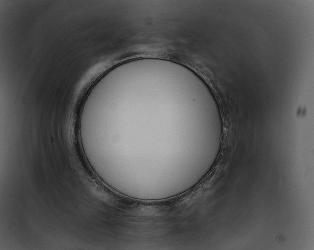 X0000101200149200807181543