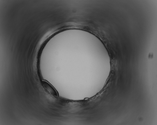 X0000101200150200807181543