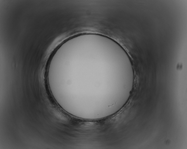 X0000101200151200807181543