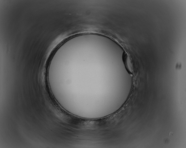 X0000101200152200807181543