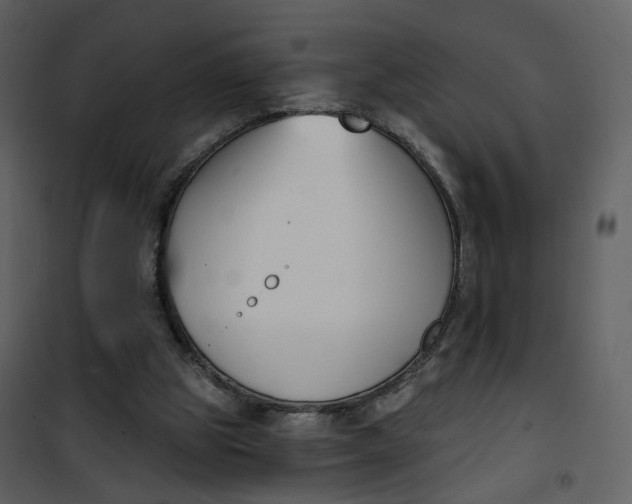 X0000101200153200807181543