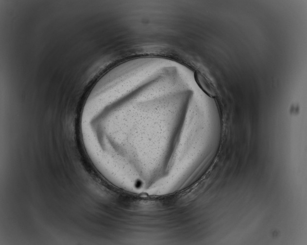 X0000101200154200807181543