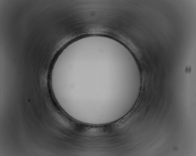 X0000101200155200807181543