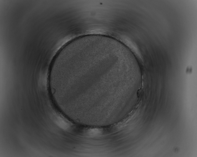 X0000101200156200807181543