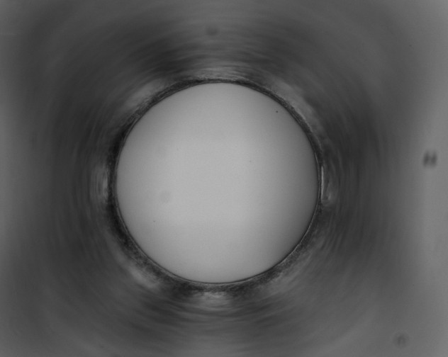 X0000101200157200807181543