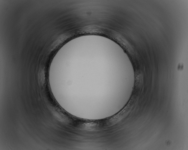 X0000101200158200807181543