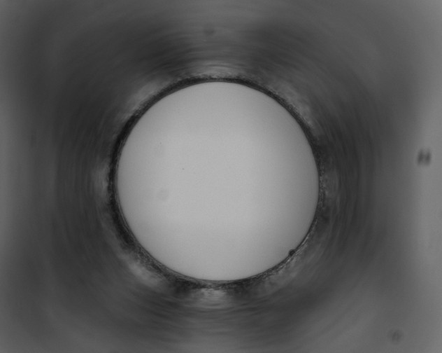 X0000101200159200807181543