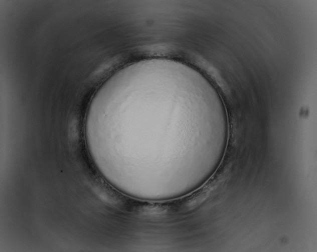 X0000101200161200807181543