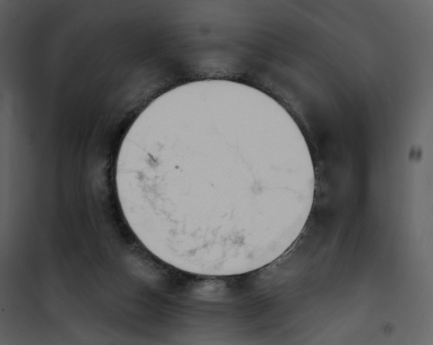 X0000101200162200807181543