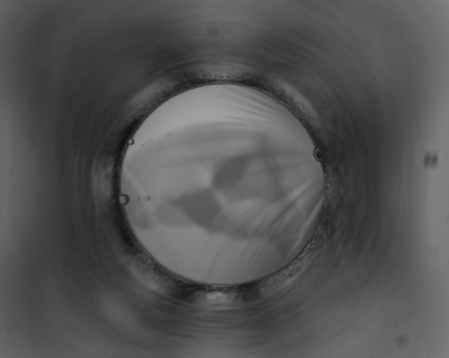 X0000101200163200807181543