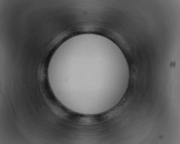 X0000101200164200807181543