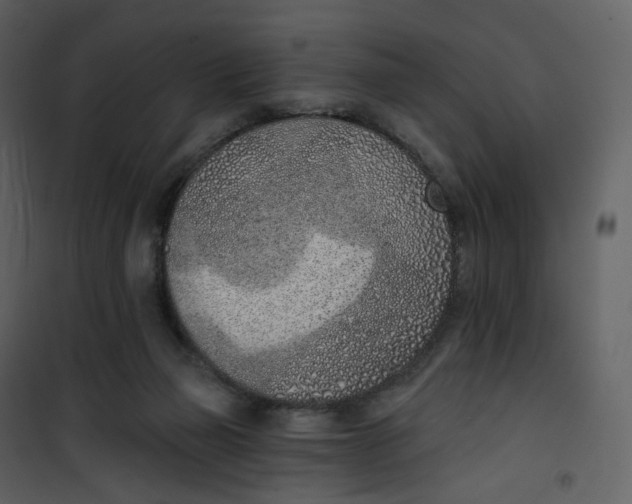 X0000101200165200807181543