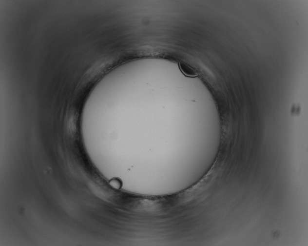 X0000101200166200807181543