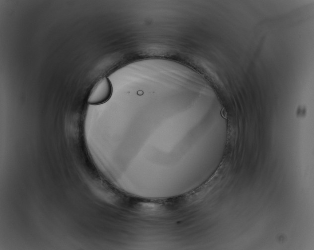 X0000101200167200807181543