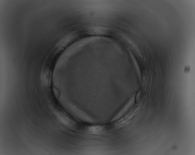 X0000101200168200807181543