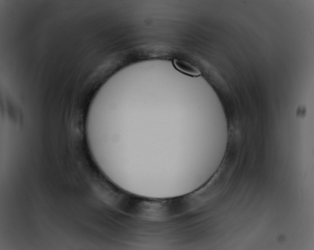 X0000101200170200807181543