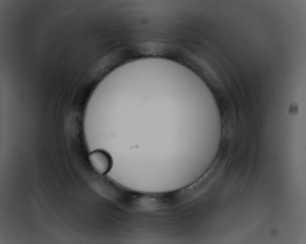 X0000101200171200807181543