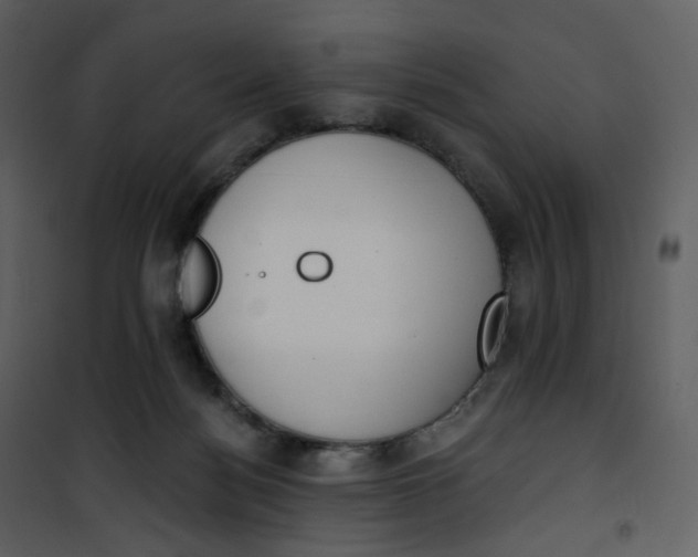 X0000101200172200807181543