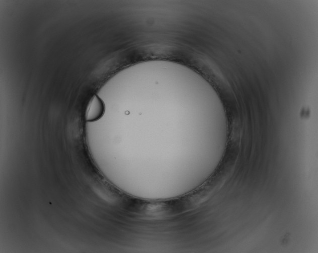 X0000101200173200807181543