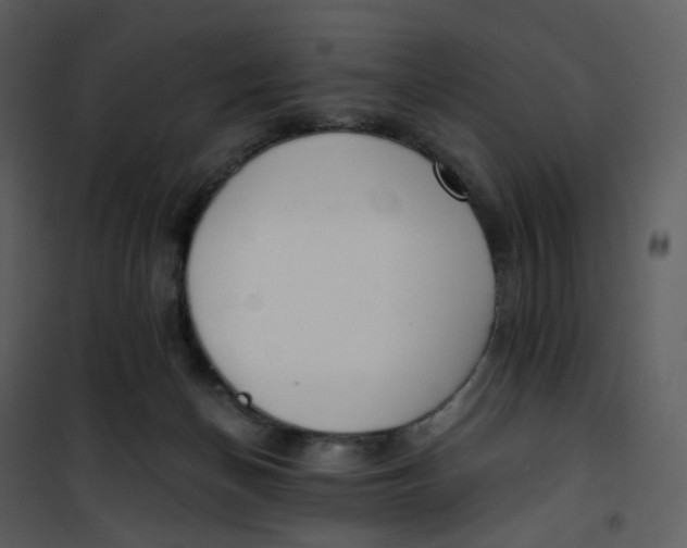 X0000101200174200807181544