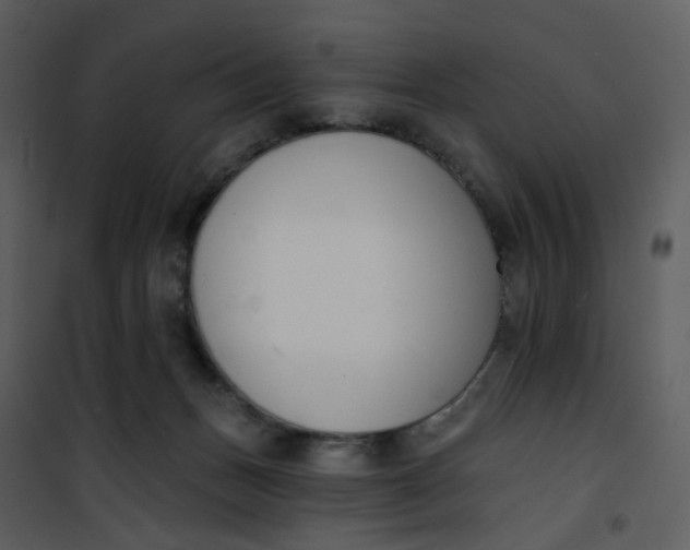 X0000101200175200807181544