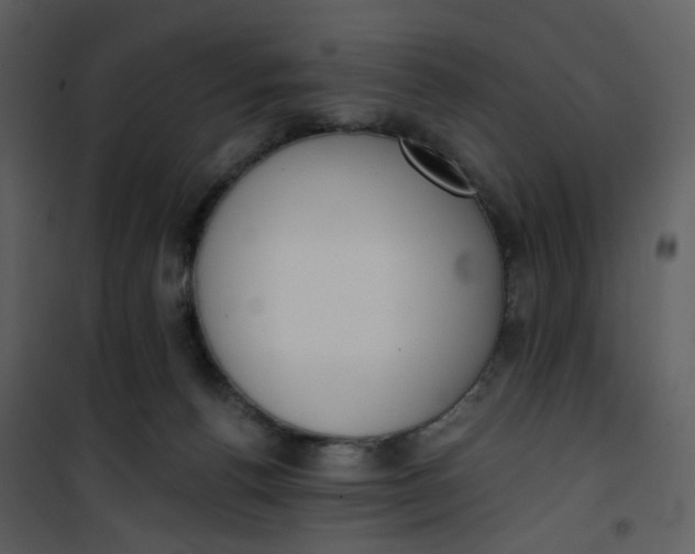 X0000101200176200807181544