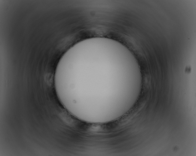 X0000101200177200807181544