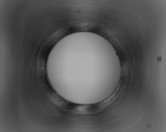 X0000101200178200807181544