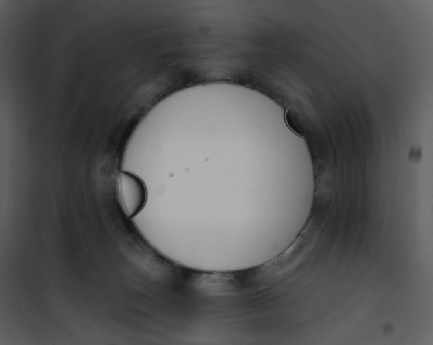 X0000101200179200807181544