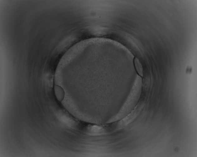 X0000101200180200807181544