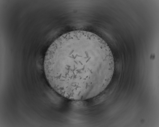 X0000101200181200807181544