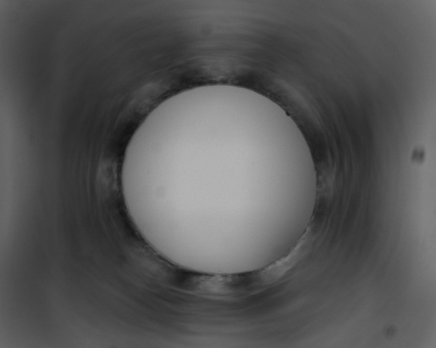 X0000101200182200807181544