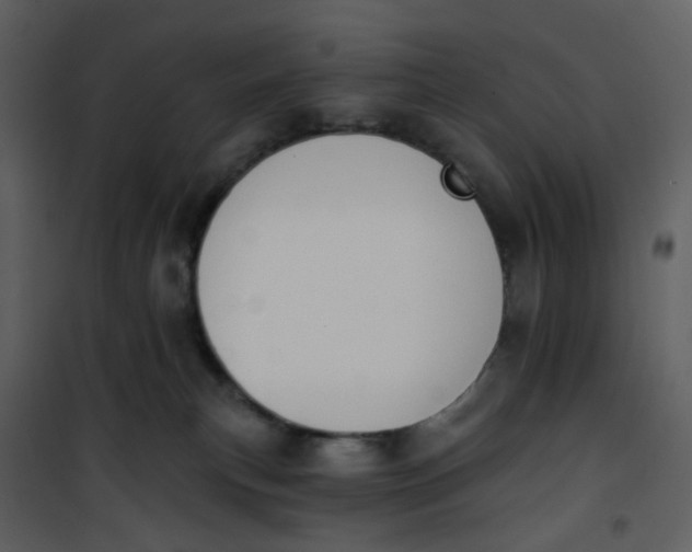 X0000101200183200807181544