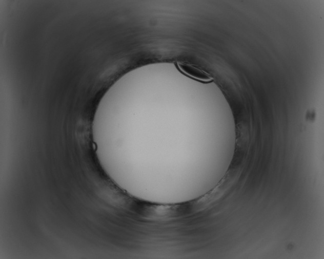 X0000101200184200807181544