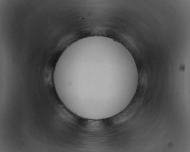 X0000101200185200807181544