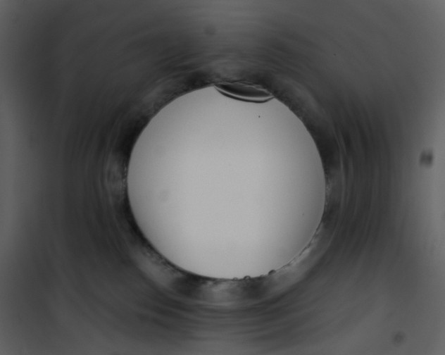 X0000101200186200807181544