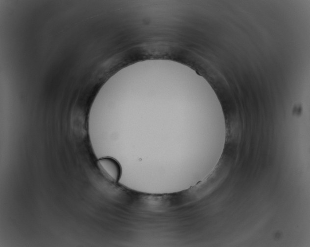 X0000101200187200807181544