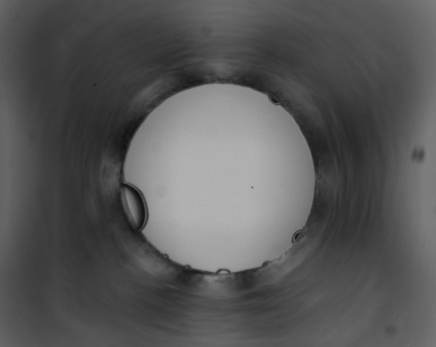 X0000101200188200807181544