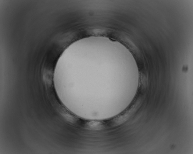 X0000101200189200807181544