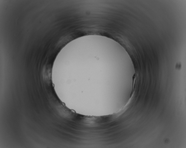 X0000101200190200807181544