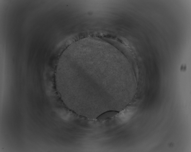 X0000101200192200807181544