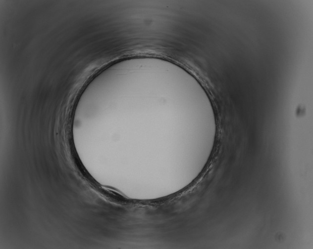 X0000101200193200807181543