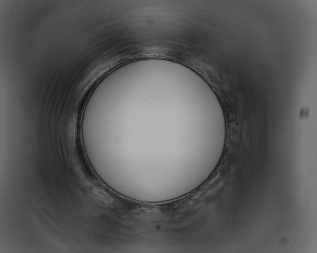 X0000101200194200807181543